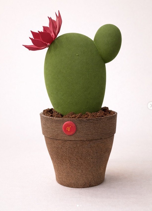 Cactus di mousse